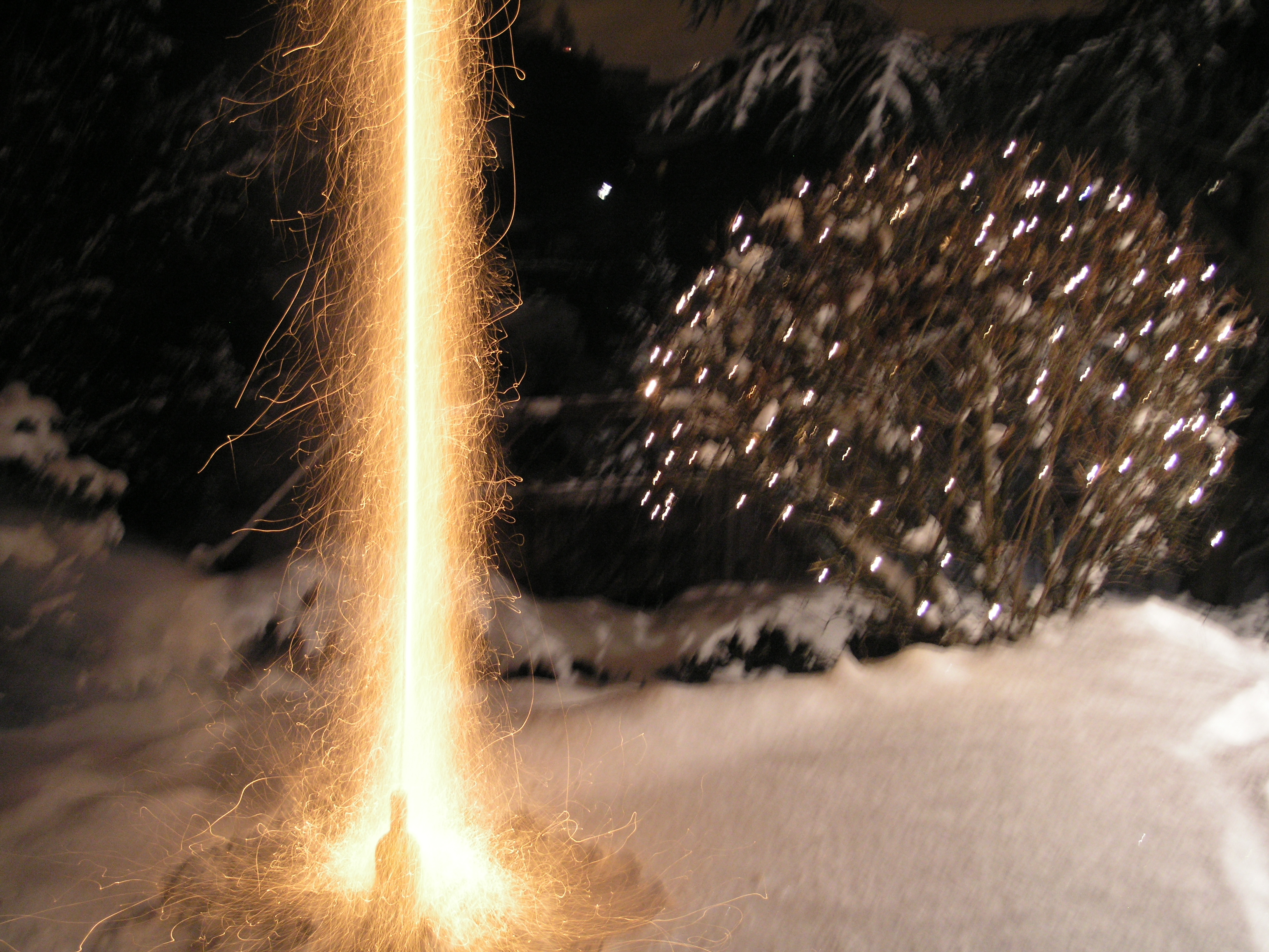 New Year